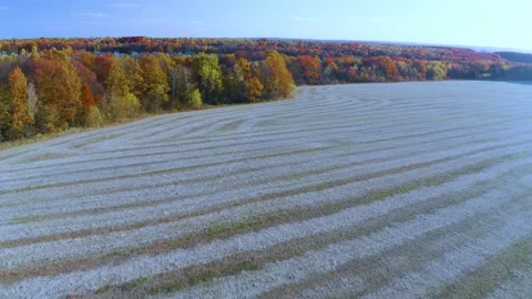Panorama solar panel, Red oak Stock Footage 170913417