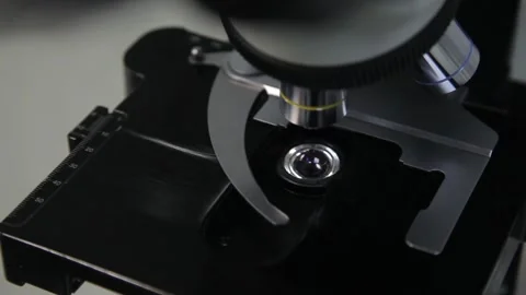 Panorama from a specimen with analysis for a microscope eyepiece Stock Footage 132251676