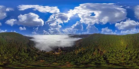 Panorama Spherical 360 on the forest Stock Photos