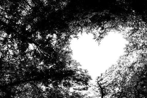Panorama spring forest trees in the center of the heart on Valentine's Day Stock Illustration