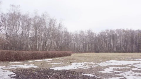 Panorama spring park Stock Footage