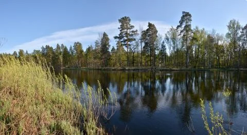 Panorama of the spring river. Stock Photos