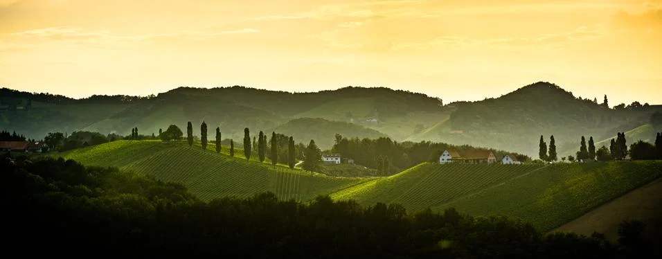 Panorama of Styrian vineyard in Austria Stock Photos