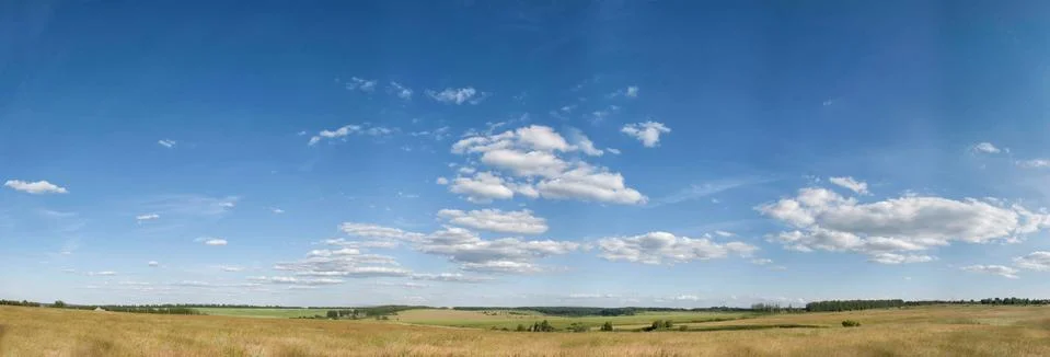 Panorama of summer fields Stock Photos