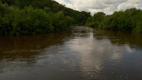 Panorama of summer stream river flow surrounded by green trees and clouds sky 库存影片 314636104