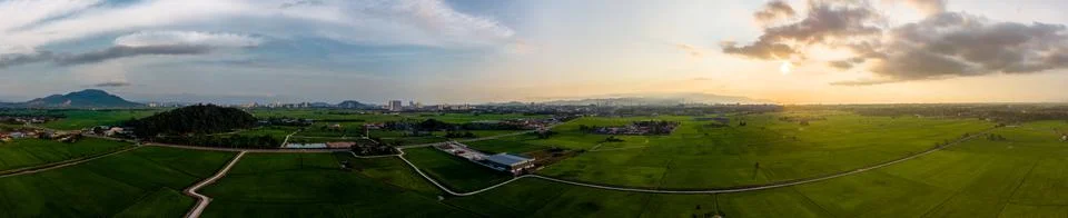 Panorama sunset at paddy field in Penang-Malaysia Stock Photos