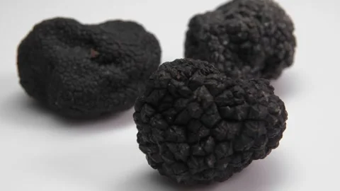 Panorama three black truffles lying on white Stock-Footage 302848050