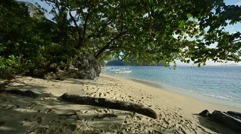 Panorama from the top of a large tree on the blue beach with boats Stock Footage 12683243