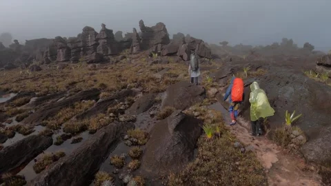 Panorama of top Tepui Roraima in rainy gloomy day and group of hikers, Venezuela Stock Footage 245498665