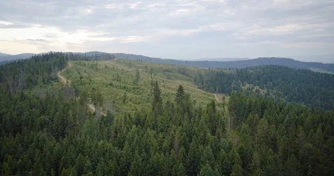 Panorama of trees and mountain peaks. Sunny day Vídeos de archivo 121336682
