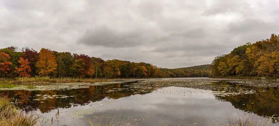 Panorama of trees reflected in a lake on a cloudy day Stock Photos