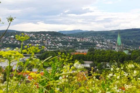 Panorama of Trondheim Stock-Fotos