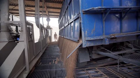 Panorama of unloading grain trucks at elevator on elevating hydraulic platform Video stock 197014682