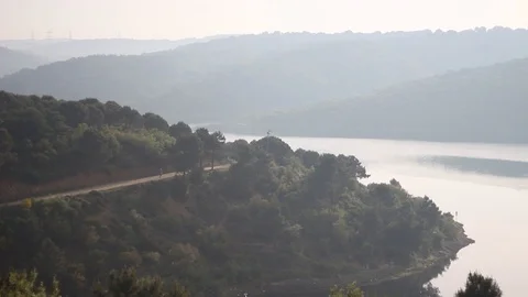 Panorama of urban forest Stock Footage 121228886