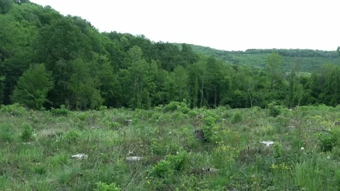 Panorama of a valley, Hungary 스톡 동영상 134068034