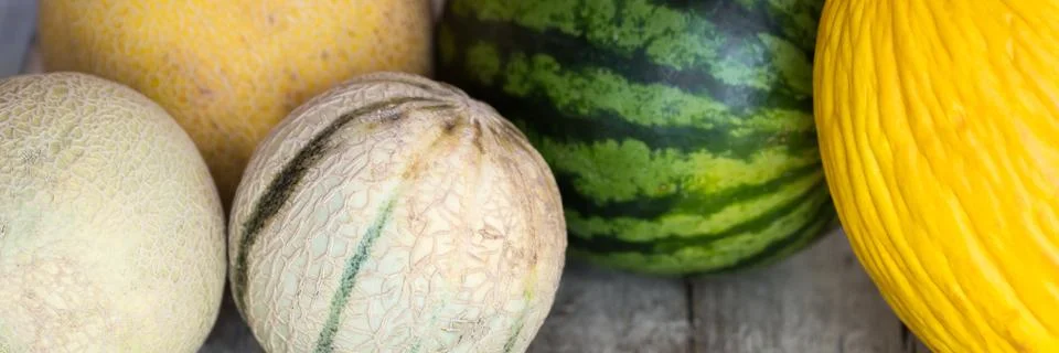 Panorama of various melons 写真素材