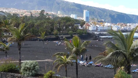 Panorama view of black volcanic sand beach with palm trees in Tenerife Stock Footage 86207772
