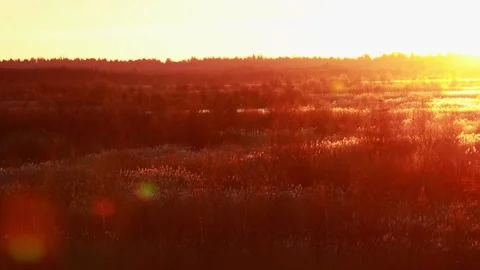 Panorama view of field with sunset Stock Footage 212338342