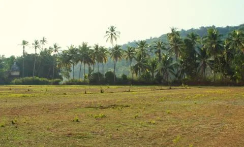 Panorama view of Goa nature in India Stock Photos
