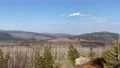 Panorama view Harz mountain range dry forest landscape Germany stock footage 4k or 4k+ Resolution