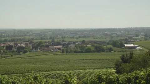 Panorama View on Landscape with Fields, Vineyard, Hills and Village in the Morni Vídeos de archivo 166145403
