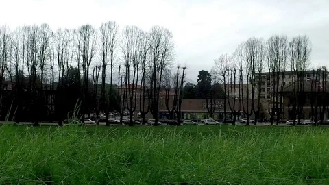 Panorama view of Lucca city Stock Footage 75704829
