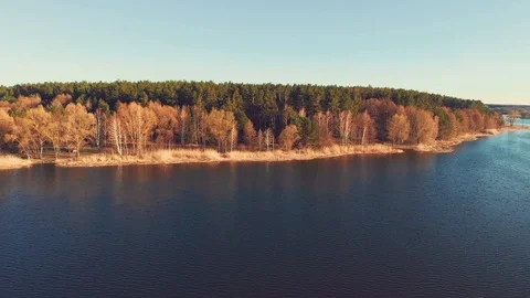 Panorama view of mixed forest along the river 動画素材 93141322