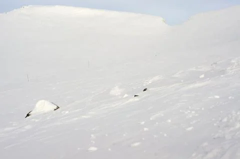 Panorama view of the mountains from the highest point Stock Photos