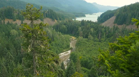 Panorama view of ocean and cliffs with fir trees foreground Stock Footage 63644137