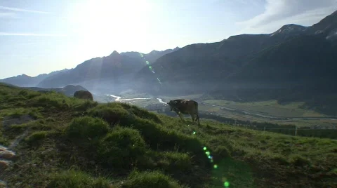 Panorama View Over The Engadin Valley From The Alp Stock Footage 515761