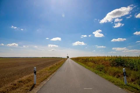 Panorama view of a road between fields, with corn and blue sky Stock Photos