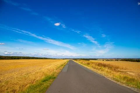 Panorama view of a road between fields, with corn and blue sky Stock Photos