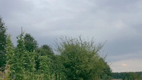 Panorama view of the satellite array at the Center of the Space Communication Stock Footage 82285277