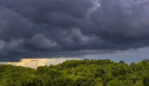 Panorama view of storm clouds over a forest of trees Stock Photos