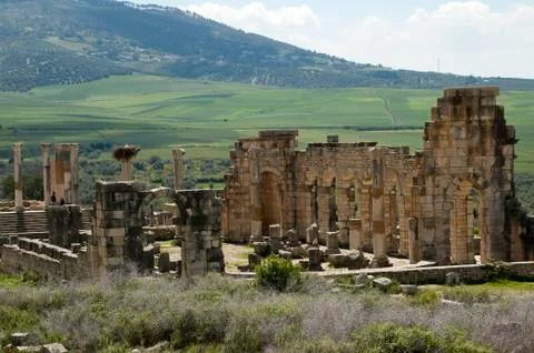 Panorama of Volubilis Basicica with green fields in background Stock Photos