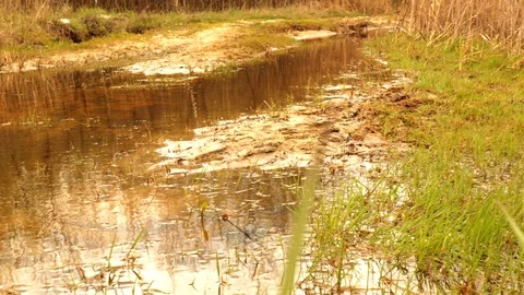 Panorama of the water that has accumulated in the pit Stockbeeldmateriaal 128911341