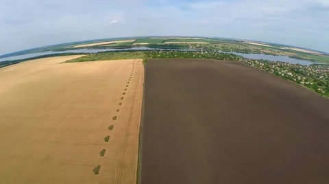 Panorama of wheat field Video stock 56765763