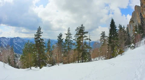 Panorama of winter forest clearing Stock Footage 50761560