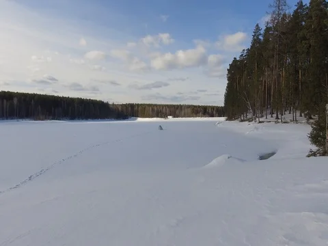 Panorama of the winter forest Video stock 74457780