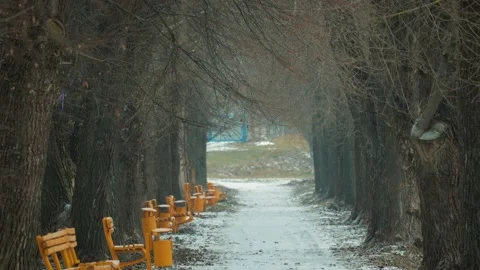 Panorama of the winter Park with old trees and the road Stock Footage 100457938