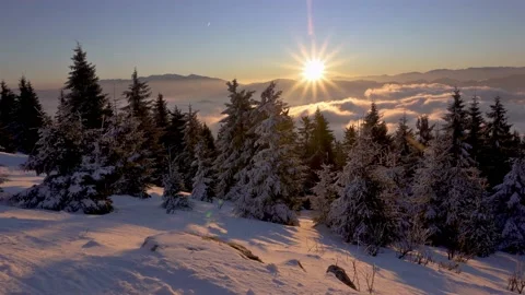 Panorama Winter snowy forest in cold alpine mountains in colorful sunrise nature Stock Footage 170786885