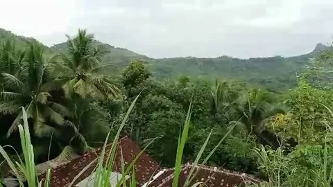 Panorama1 Видео 219440595