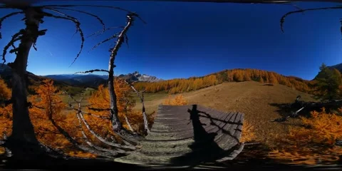 Panoramic 360Video Tree Top View in the Alps in Autumn/Fall Stock Footage 170498811