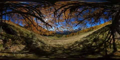 Panoramic 360Video View Sitting Under a Tree in the Alps Late Autumn/Fall Stock Footage 170500459