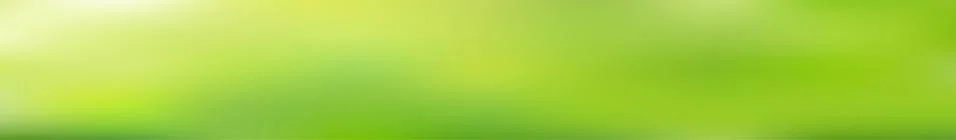 Panoramic abstract green blurred gradient background. Stock Illustration