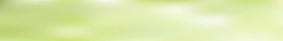 Panoramic abstract green blurred gradient background. Stock-Illustration