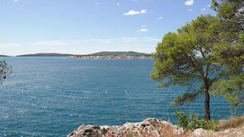 Panoramic Adriatic Seascape: A Lone Pine Tree Frames a Tranquil View of Stock Footage 318010194
