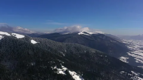 Panoramic Aerial drone flight over forests with pine trees at Carpathian Stock Footage 130338805