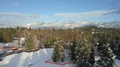 Panoramic Aerial Drone Flight Over Port Moody in Autumn located in BC Canada. Stock Footage 223293182