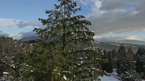 Panoramic Aerial Drone Flight Over Port Moody in Autumn located in BC Canada. Stock Footage 223293308